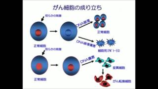 ＜がん細胞＞免疫細胞の攻撃回避の仕組み解明