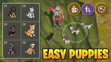 EASIEST Way to Get PUPPIES - Last Day on Earth: Survival