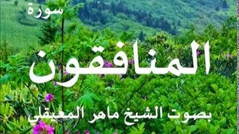 سورة المنافقون بصوت الشيخ / ماهر المعيقلي 63