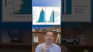 What happens after Cyclones and Bleaching Events?