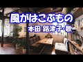 本田 路津子 / 風がはこぶもの