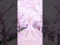귀엽기만 하면 안 되나요? かわいいだけじゃだめですか #춤춰보았다 #踊ってみた #CUTIESTREET #큐스토