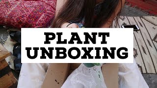 UNBOXING PLANTS FROM GABRIELLA PLANTS!