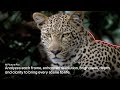 LG B5 OLED 4K 48 POUCES OLED48B56LA (2025) video