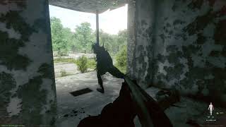 Shot Gun Close Range | Active Matter