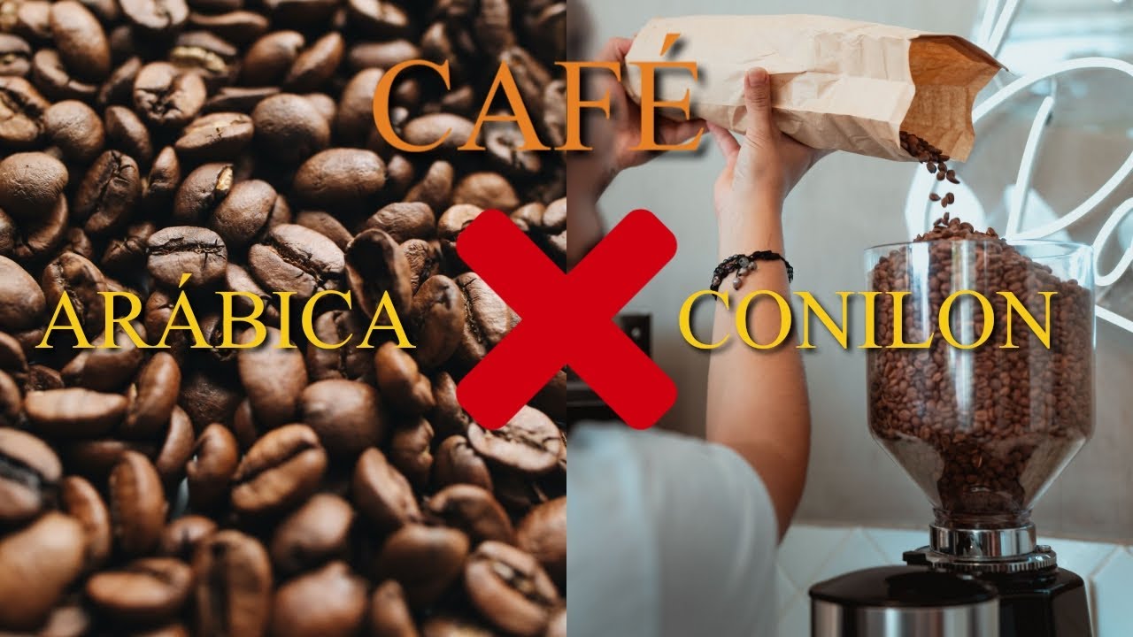 FIQUE POR DENTRO - Café conilon é pior que o café arábica? 