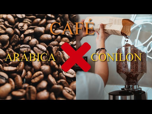 FIQUE POR DENTRO - Café conilon é pior que o café arábica? 