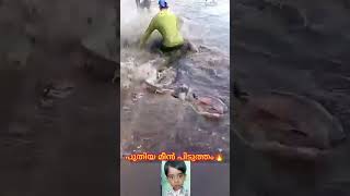 പുതിയ മീൻ പിടുത്തം #mallutraveler#fishingfreaks#shortsX#mallu#malayalam#m4tech #fish #vairal
