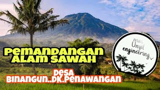 pemandangan Alam sawah|| Langgam nyemek nyemek