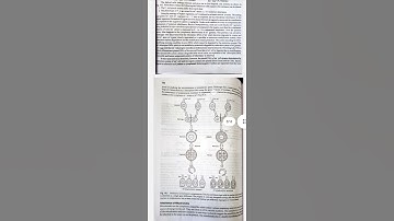 Streptomycin Resistance in Chlamydomonas | Extra chromosomal inheritance #msc #zoology #genetics