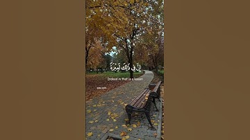 سورة النور - شريف مصطفى