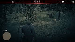 Red Dead Redemption 2 - How To Find Cougars Easy! (Guide)