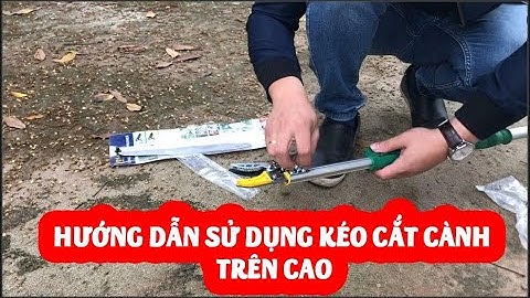 Hướng dẫn sử dụng kéo cắt cành trên cao và mua kéo cắt cành trên cao ở đâu chất lượng keocatcanh.vn