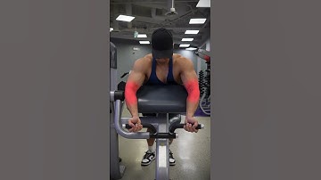 The PERFECT Machine Preacher Curl