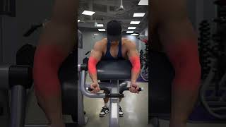 The PERFECT Machine Preacher Curl