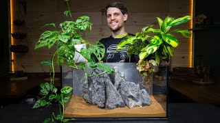 Definitive Guide to Growing Houseplants in an Aquarium by SerpaDesign 188,735 views 2 months ago 16 minutes