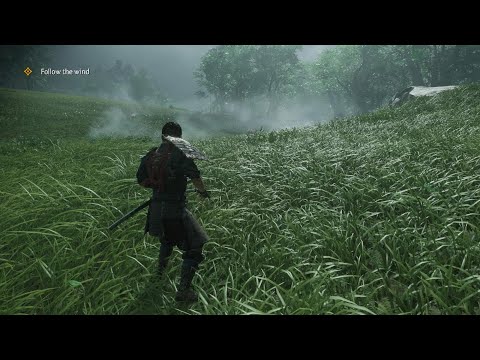 Ghost of Tsushima grass