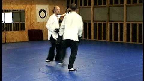 The Art of Effortless Power: (Boxing) Dynamic Leading Roll Back