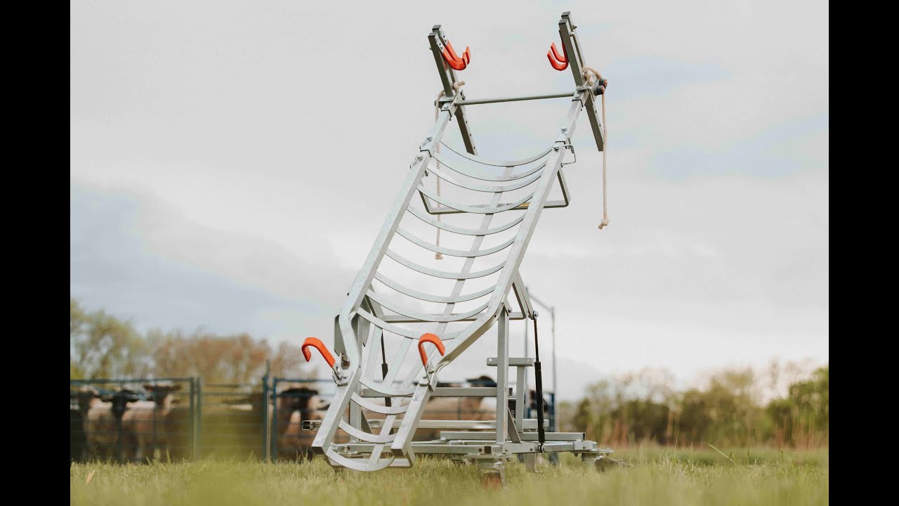 Sydell Sheep, goat, and Deer Artificial Insemination Embryo Transfer Table AI Unit Video