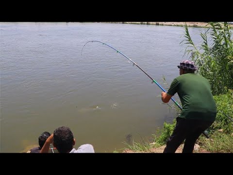 فيديو: ملامح الصيد في الدوائر - السعي وراء المفترس