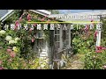 【ガーデニング】バラが光るオシャレ雑貨屋さんのお庭【薔薇】【園芸】