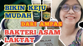 Membuat Keju Sederhana dari Bakteri Asam Laktat