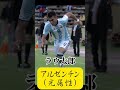 【Wカップ決勝】アルゼンチン（光属性）VSフランス（闇属性）