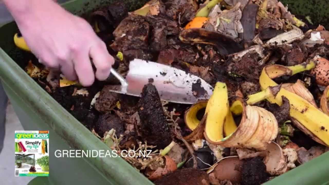 Compostable Plastic Decomposition