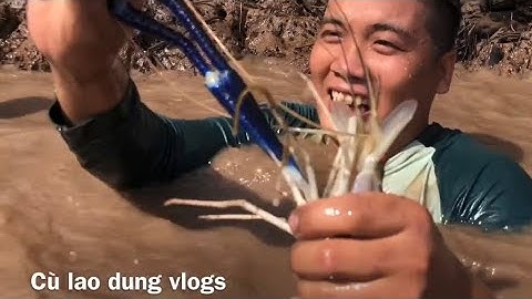 Ra Cửa Sông Hậu Mò Tôm Càng Xanh Cùng Kình Ngư Miền Tây #34 • Cù Lao Dung Vlogs