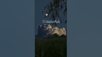 "تلاوه تهز القلوب بصوت يربح النفس|قرأن كريم يلامس الاحساس".#قران_كريم #تلاوة_خاشعة #quran#راحة_نفسية