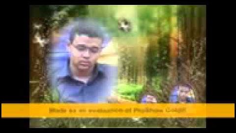 قرءان كريم | سورة المنافقون | القارئ احمد صلاح الصعيدى