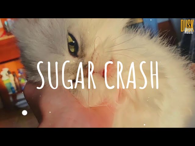 Sugar Crash - ElyOtto // (Vietsub + Lyric) Tik Tok Song class=