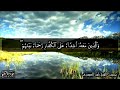 من أواخر سورة الفتح||تلاوه خاشعه ومبكي للشيخ ياسر الدوسري{مُّحَمَّدٌ رَّسُولُ اللَّهِ}