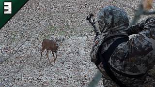 Shooter Michigan Whitetail Hunt | Chasing Moose | Deer Season 2024