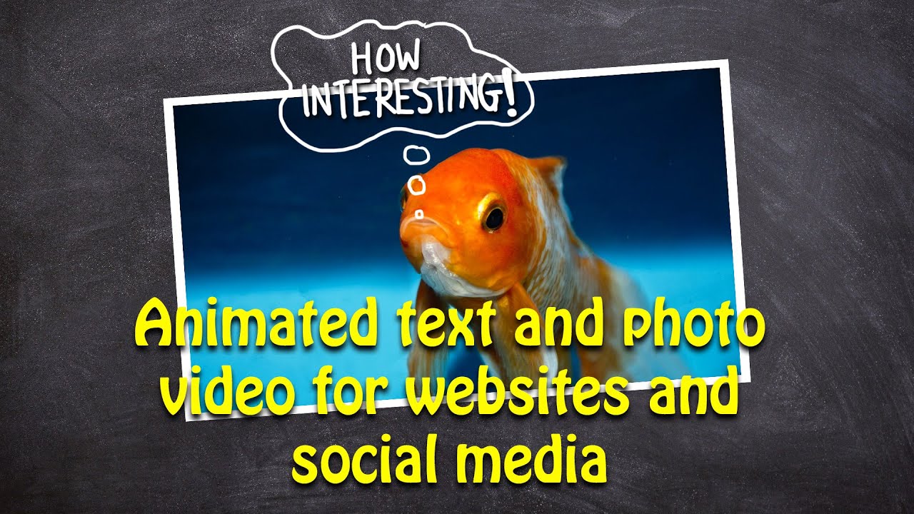 Animated Text and image video - Promote your business on social media ...