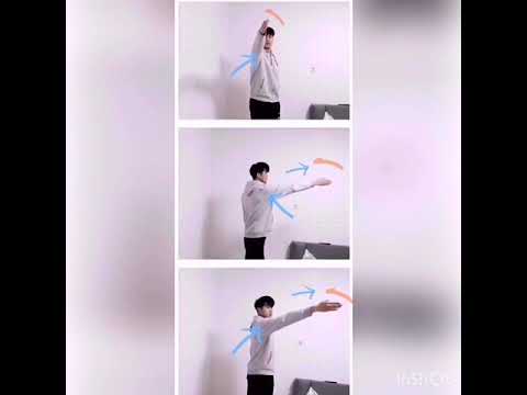 专业仰泳动作讲解