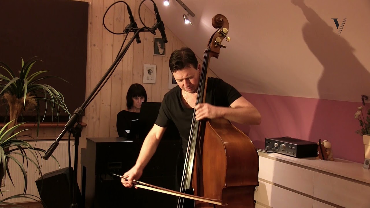 Dittersdorf — Concerto No. 2, Mov. 1: Played by Bogusław Furtok, Double Bass