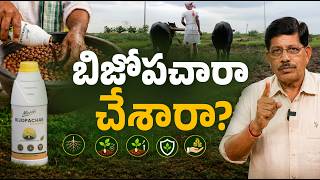బిజోపచారా చేయకపోతే 30% దిగుబడి నష్టం వస్తుందనే విషయం మీకు తెలుసా! | Dr.Soil Bijopachar