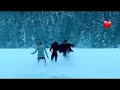 Reik -me niego perderte ft ozuna ,wisin (riverdale)