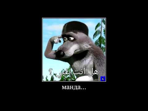 фиксики на арабском