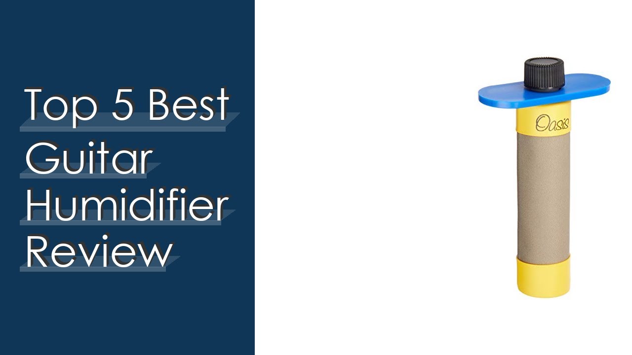 Top 5 Best Guitar Humidifier Review - Available On Market