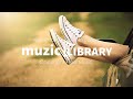 Veronica Maggio Tillfälligheter Fredji Tobsky Remix Copyright Free Safe Music 