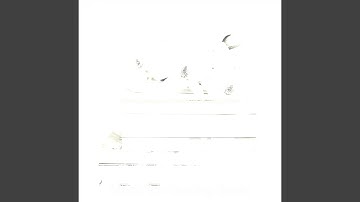 Distinguished Backdrops for Reading Books