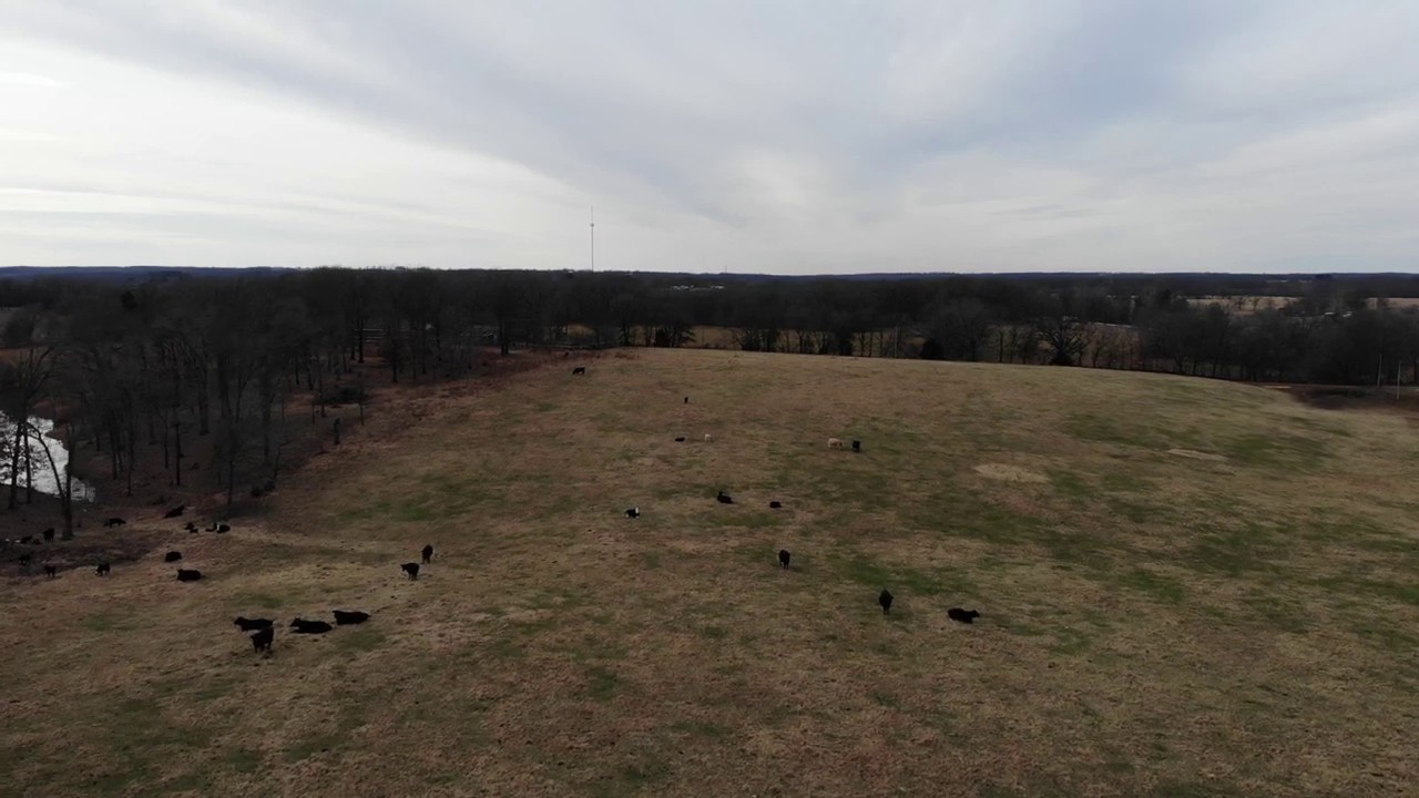Farm Land for Sale in Northwest Arkansas YouTube
