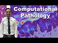 Deep Learning-Based Computational Tools for Digital Pathology