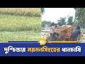 ময়মনসিংহে ধান ঘরে তুলতে দুশ্চিন্তায় কৃষক | Mymensingh | Dhaka Journal