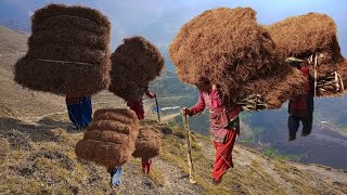 Very Hardworking Mountain Village People In Mid West Nepal || Primitive Lifestyle ||@RURALLIFENEPAL