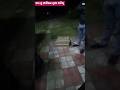 3 December 2025,#chiks #desichicken #viral #video #trending #shortsviral #minivlog #ytshorts #like
