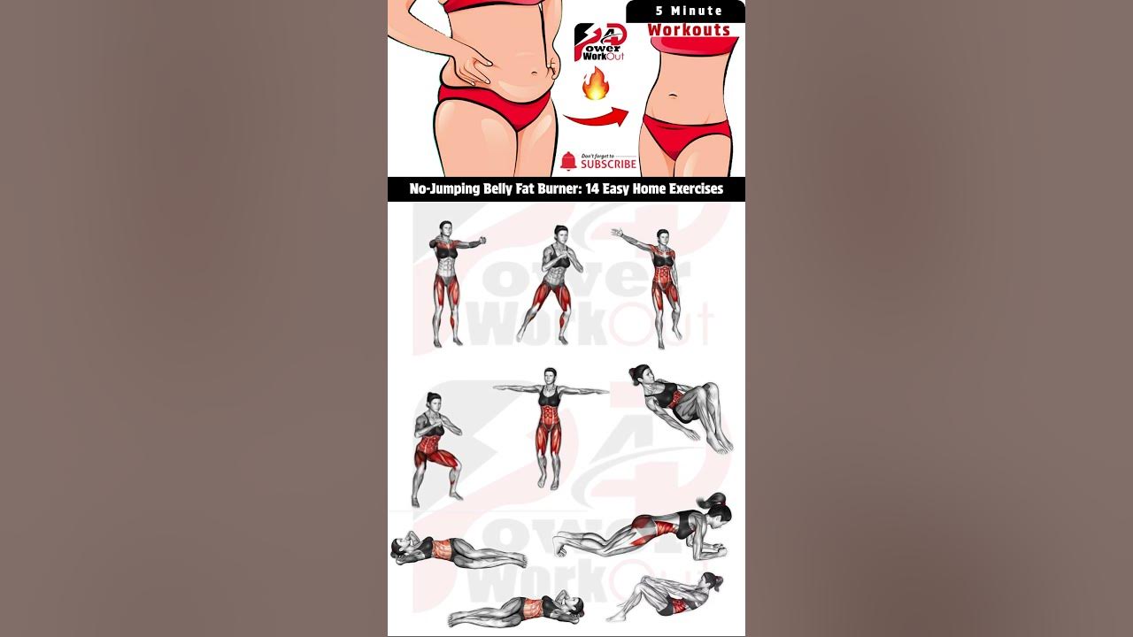 No Jumping Belly Fat Burner 14 Easy Home Exercises By Power Workout 4D