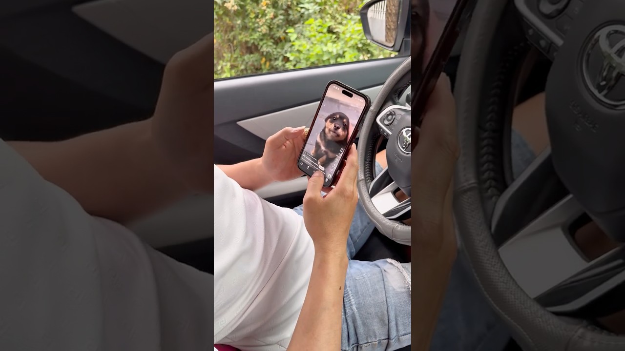 This Is So Funny L Couldn39t Stop Laughing Funny Doddlersoftiktok Funnyvideos Duet Foryou - YouTube Auto PHP Script